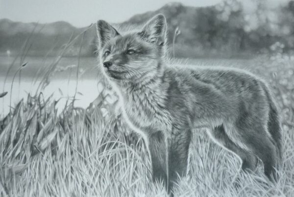 "Little Fox" by Marie Brown