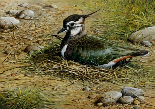 "Lapwing" by Terance James Bond-Legacy Series