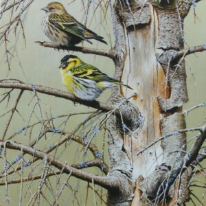 TJBsiskins