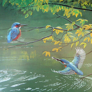 Kingfishers by Kenneth Smith